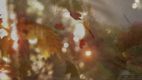 falling autumn leaves creating animation effect over sunlit forest landscape