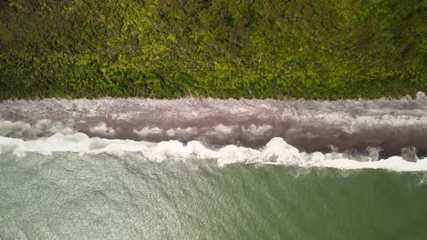 Beautiful-aerial-look-down-to-native-green-rainforest-and-sea-waving-sandy-beach-at-remote-place-in-West-Coast,-New-Zealand