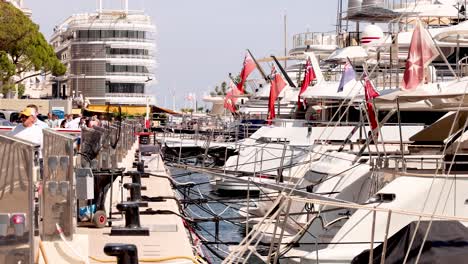 luxury yachts docked at monte carlo pier