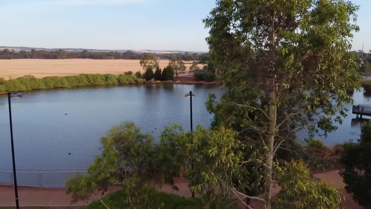 습지 와 항구 를 드러내기 위해 나무 를 지나가는 항공기