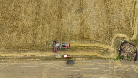 Top-down-view-of-a-red-harvester-transferring-harvested-crops-to-trailers