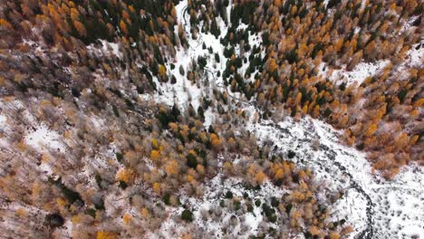 Colorido-Follaje-Otoñal-En-Un-Denso-Bosque-Montañoso---Rhêmes-notre-dame,-Valle-De-Aosta---Vista-Aérea-De-Arriba-Hacia-Abajo