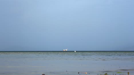 flamingos on horizon line of calm lake surface seeking for food in ohrid lake