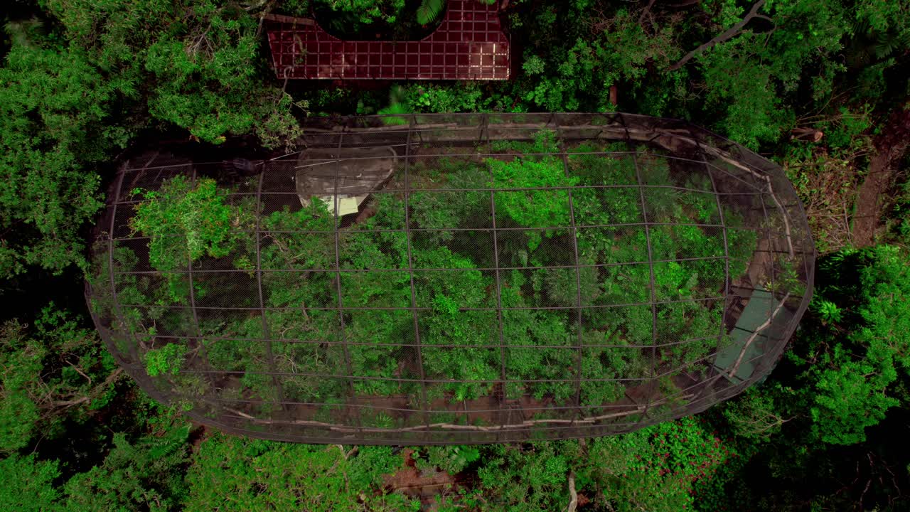 Top view of greenhouse filled with trees