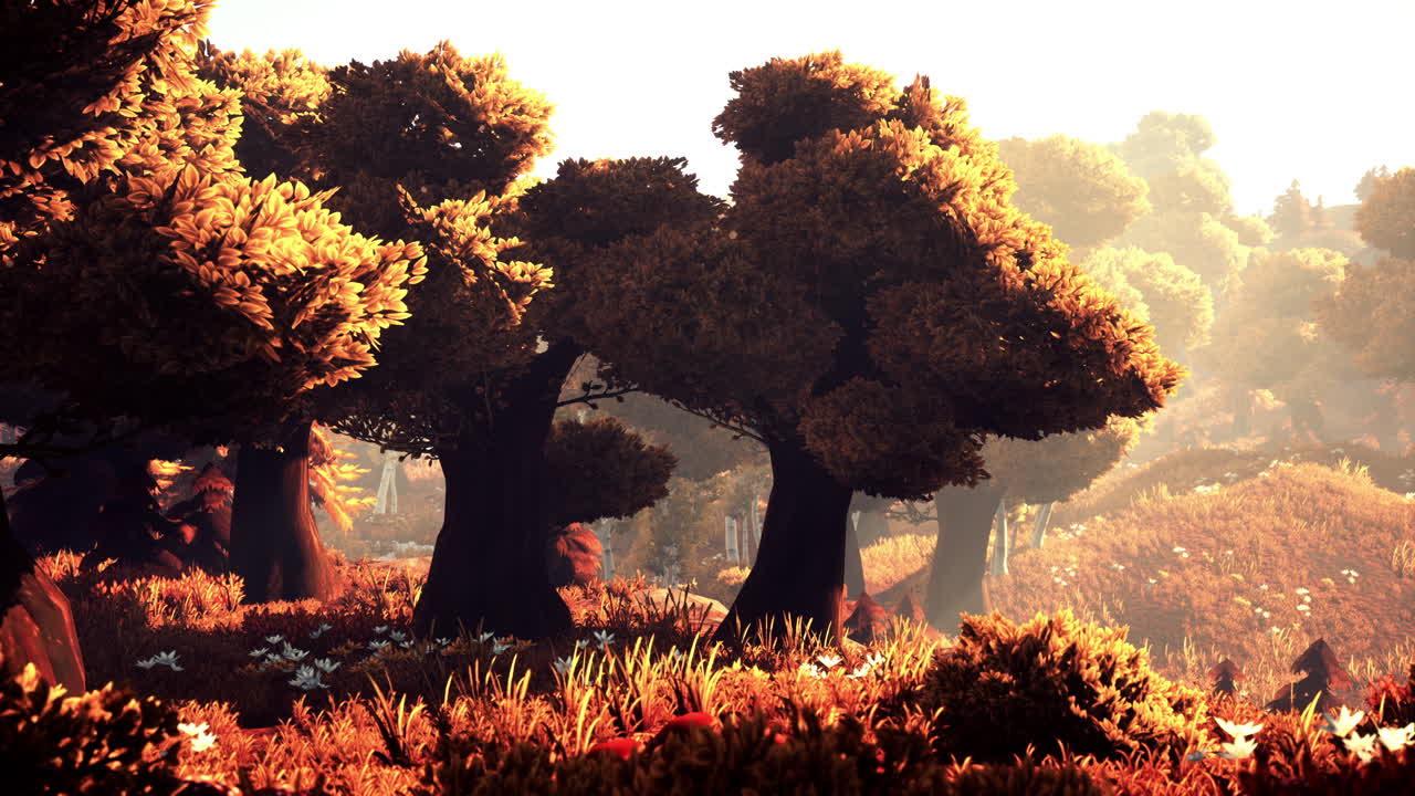 골든 아워 숲 풍경