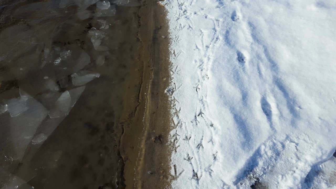 Bird traces on riverside after snow.