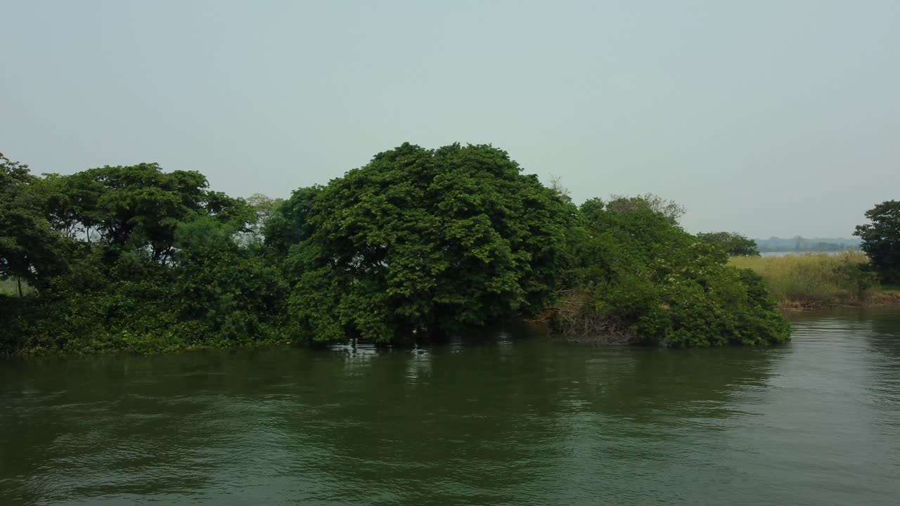 isla inundada por una gran inundación del río paraná, paraguay