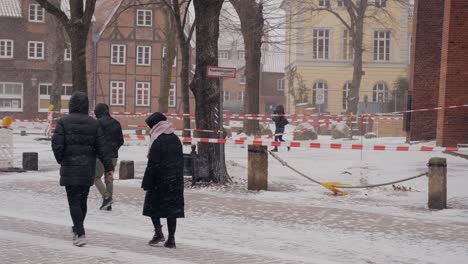 toma en cámara lenta de una tormenta de nieve en lüneburg, norte de alemania