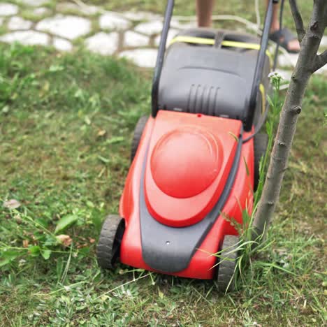 young boy cutting the grass with a lawn mower in summer time