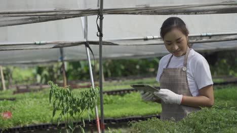 smart farm concept and farm technology a smart asian girl uses a tablet to check the quality and quantity of the organic vegetable garden at the garden houses.