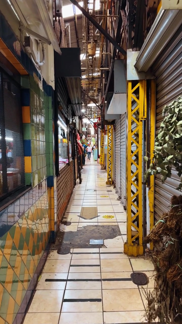 Narrow market alley with metal shutters, San Jose, Costa Rica. Tiled walkway between colorful mosaic walls, yellow support beams and hanging green foliage.
