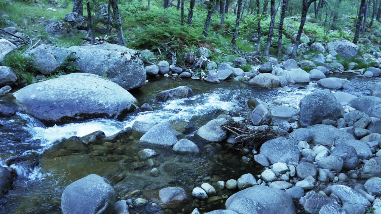 해안에 나무가 있고 강한 조류가 흐르는 바위 강의 오른쪽으로 패닝