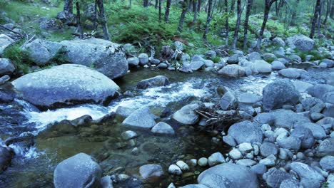 Schwenk-Nach-Rechts-über-Einen-Felsigen-Fluss-Mit-Starker-Strömung-Und-Bäumen-Am-Ufer