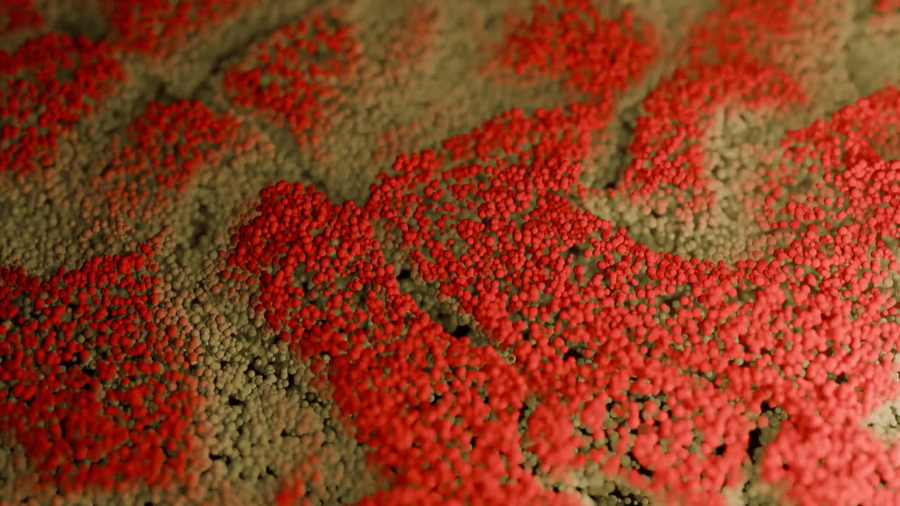 추상적인 입자 흐름