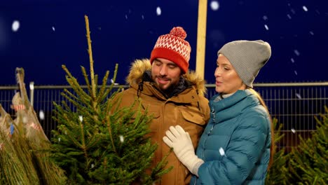 Glückliches-Paar-Kauft-Weihnachtsbaum-Auf-Dem-Markt.Winterferien-Und-Menschenkonzept-–-Glückliches-Paar-Kauft-Weihnachtsbaum-Auf-Dem-Straßenmarkt-Am-Abend-Bei-Fallendem-Schnee