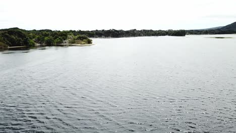 drone aerial over lake and nature reserve with ducks flying on water