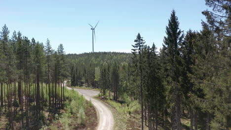 Dirt-road-through-pine-forest-leads-to-wind-turbine-on-hillside,-aerial