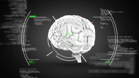 animación del cerebro humano digital en círculos sobre el lenguaje informático contra un fondo abstracto
