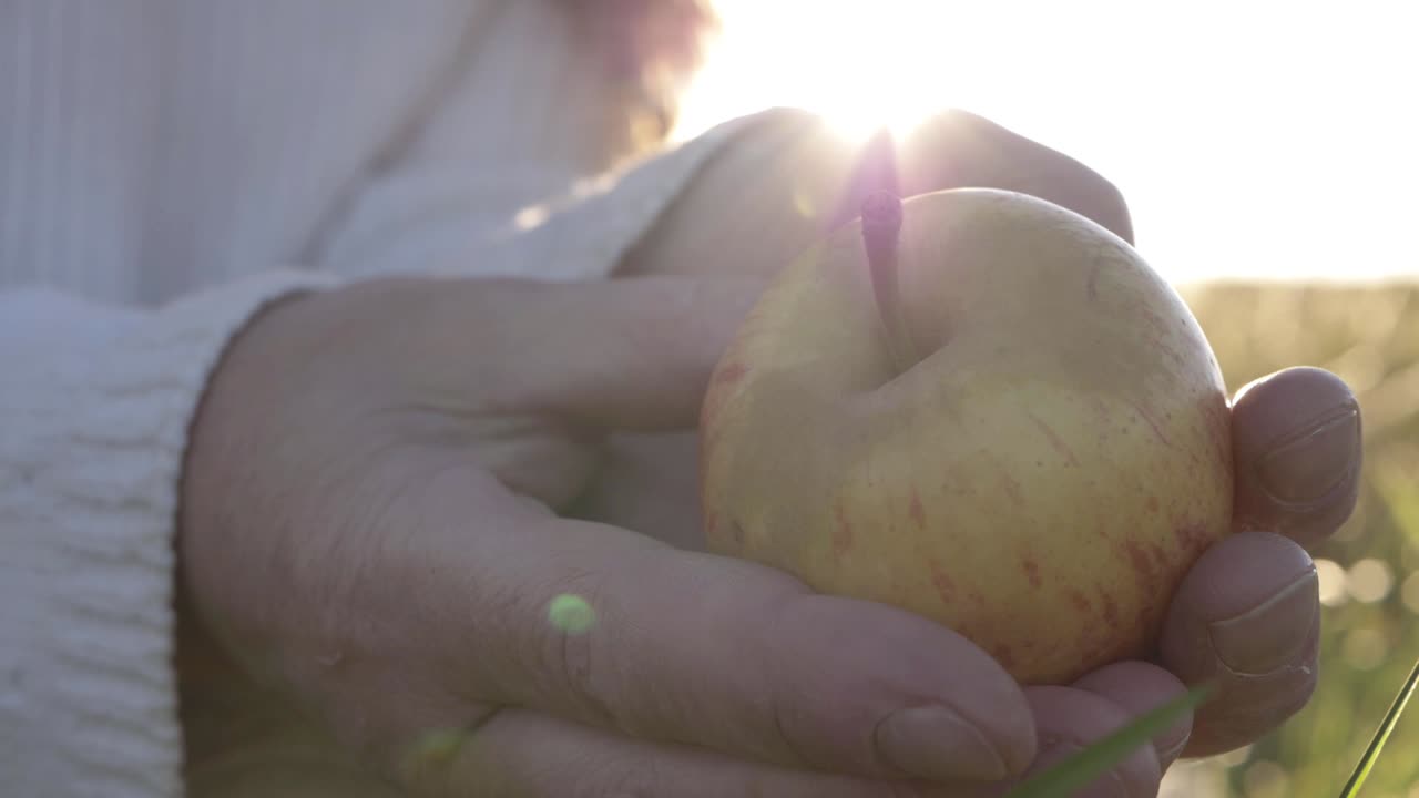 Hands holding juicy red apple against sunlit background close up shot