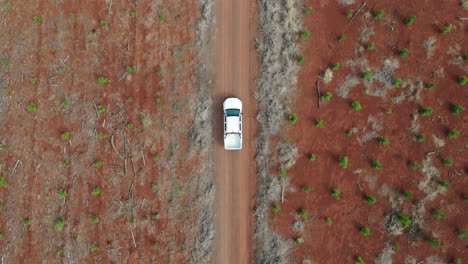 a dirt road cutting through forested and deforested areas, human activity in nature, drone top down tracking follows truck