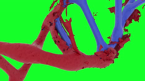 replacement of the abstract double helix dna strand. concept of gene manipulation and digital genetic engineering. editing and modification of the human genome. green screen animation in 4k.