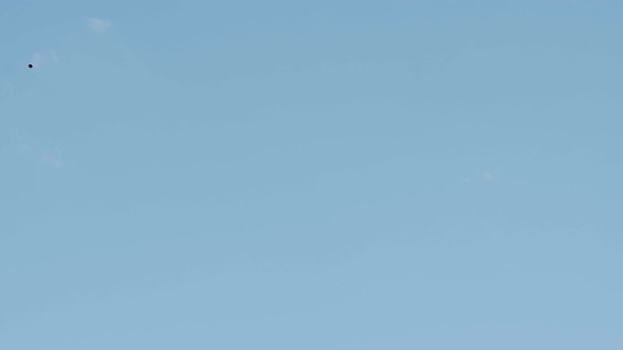 에서 천천히 움직이는 점토 비둘기, 판에 벤치 촬영, 판에 v-log 벤치 슈팅, 판을 던지는 자동 기계, 벤치 쇼팅을위한 던지기 기계.