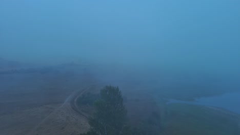 misty morning over nanclares de gamboa, basque country with a solitary tree and winding road