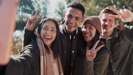 happy people, friends and nature with peace sign