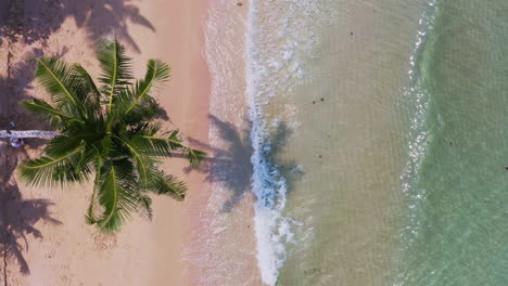 Mann-Entspannt-Und-Schaukelt-Auf-Einer-Palmenschaukel-Am-Strand-Von-Koh-Kood