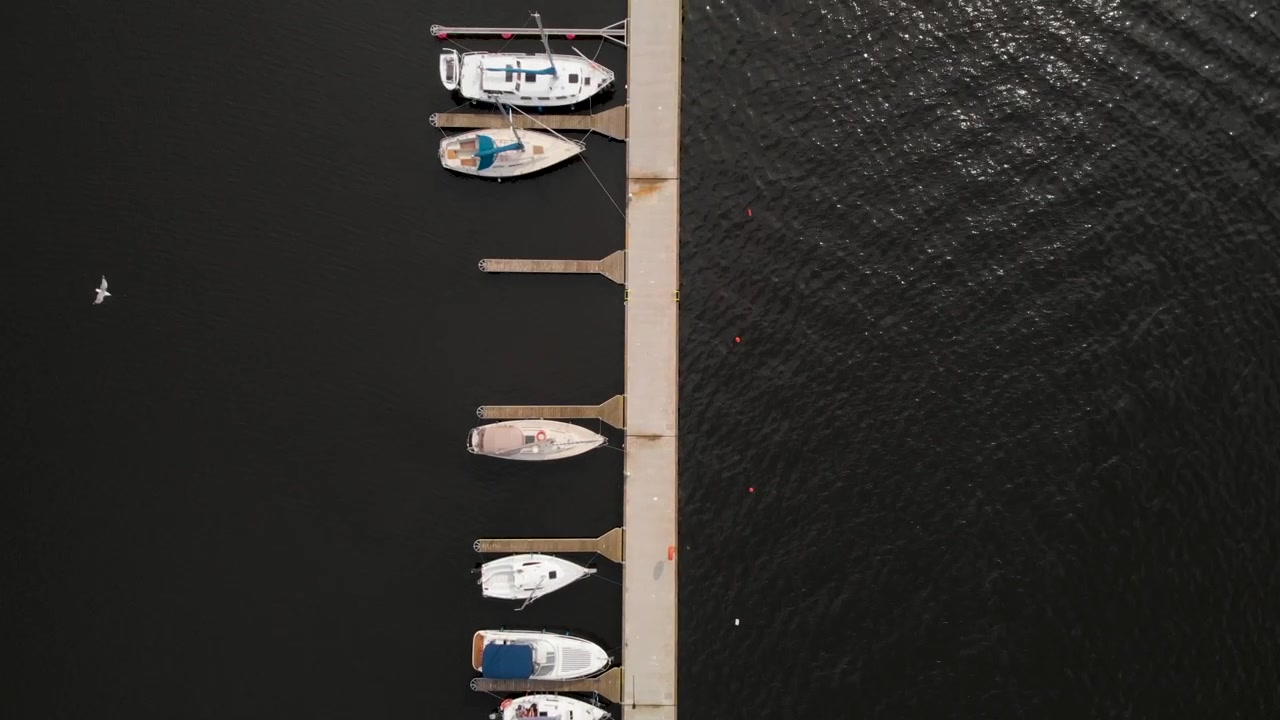 Fugl, der flyver over bådene fortøjet ved træbroen i Dabie-søen, Polen - luftfoto set ovenfra