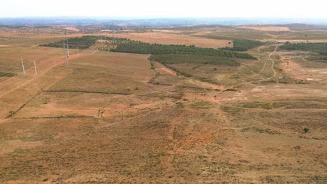 aerial-shot-of-dry-farm-land-with-small-trees,-4k