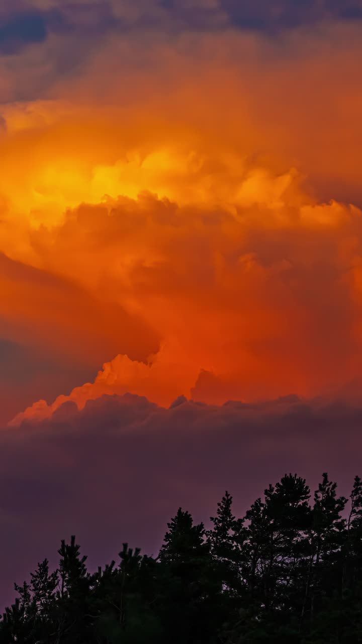 Timelapse of colorful clouds over silhouetted trees, calm and serene