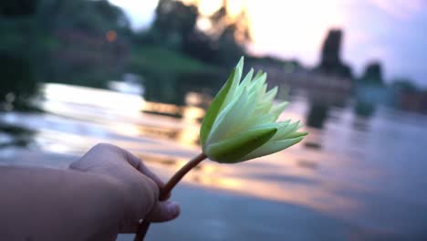 person holding a blooming water lily flower against bokeh lake background