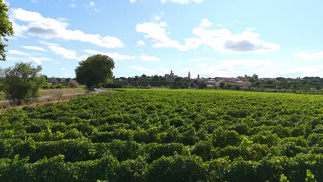 Aerial-revealing-shot-overhead-vineyards-to-Chateau-de-Pouzilhac-in-France