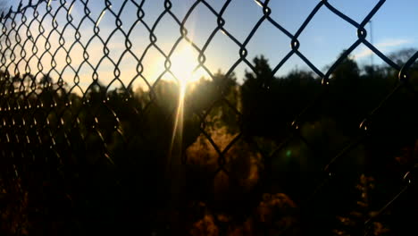 sunshine through a fence in a park