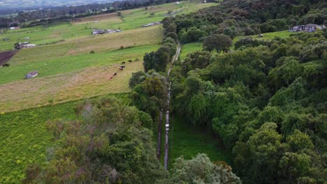 Langsamer-Filmischer-Drohnenclip,-Der-Ein-Grünes-Feld-Mit-Bäumen-Und-Einem-Majestätischen-Hintergrund-In-Campo-Umbria,-Machachi,-Equador-Enthüllt