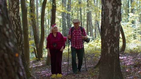 Positive-senior-grandmother-grandfather-couple-is-engaged-in-Nordic-walking,-enjoying-adventures