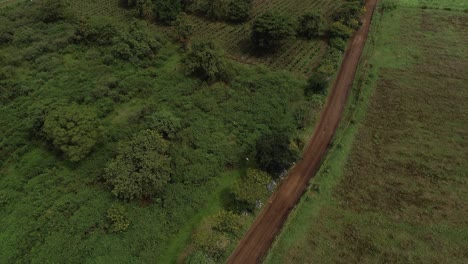 Luftaufnahme-Der-Landwirtschaftlichen-Flächen-In-Arusha