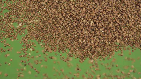 top view of falling down buckwheat grains. the seeds fall and fill the green screen. grain background