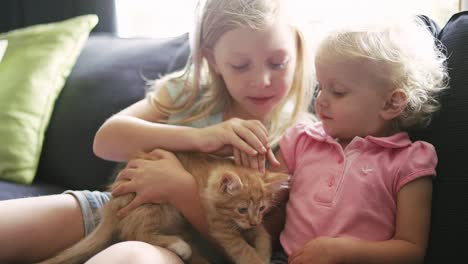 una niña ayuda a su hermana menor a acariciar a un gatito