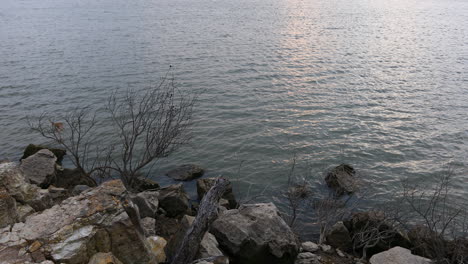 rocky shoreline on lake lewisville in texas