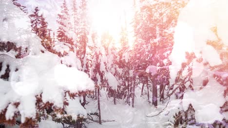 Animation-of-landscape-with-winter-scenery-and-fir-tree-forest-covered-in-snow