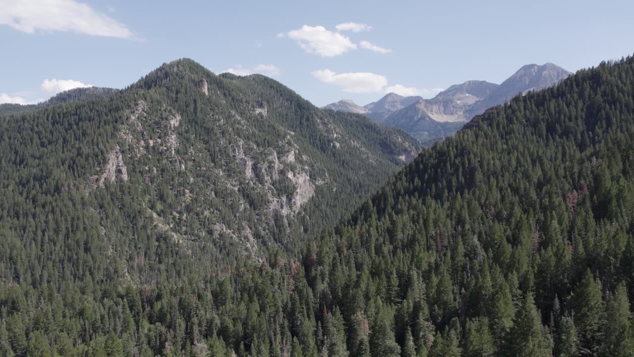 american fork canyon montañas wasatch en el día de verano de utah, vista aérea de drones