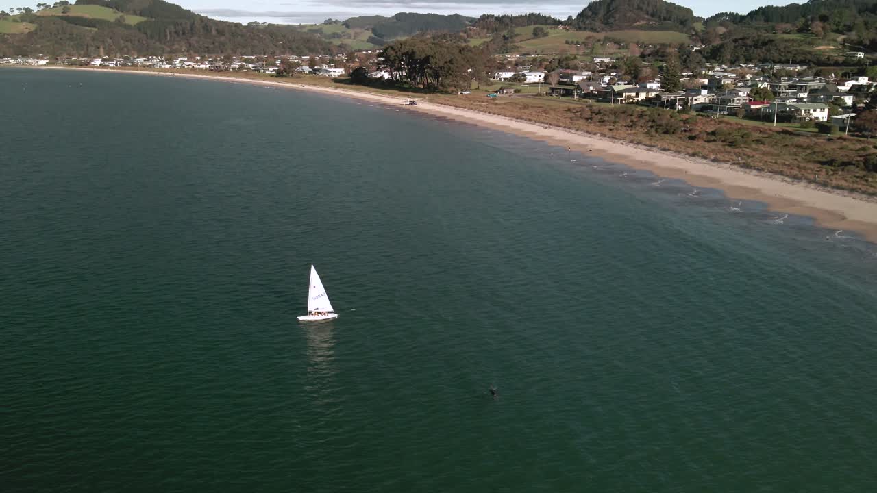 yate de vela flotando alrededor de la bahía esperando el viento mientras los delfines siguen detrás