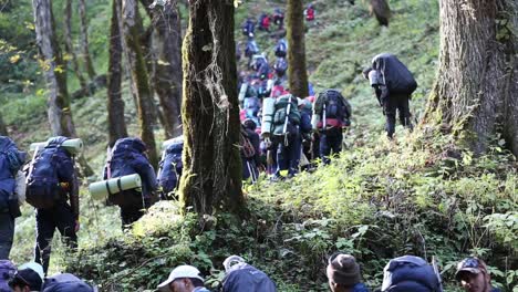 himalayan mountaineers on their way to reach their destination with their backpacks - essential goods - passing through himalayan hills - sal forest, uttarakhand, india.
