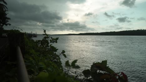 Tree-leaves-swaying-in-the-wind-on-the-banks-of-a-lake-with-calm-water-under-a-cloudy-sky