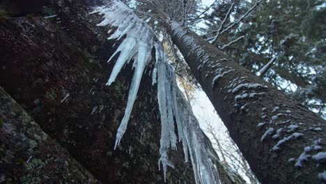 Eiszapfen-über-Einem-Verschwommenen-Hintergrund-Und-Einem-Felsigen-Berg-Im-Winterwald