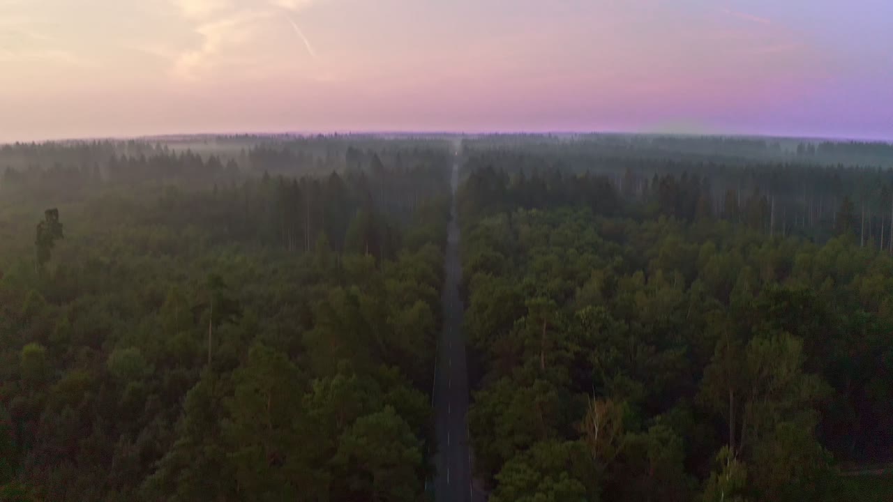 Look up shot of a drone at a beautiful green forest with a leading line street up to the violet sky of an early morning with some clouds