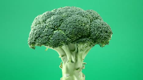 fresh raw broccoli rotating over green background