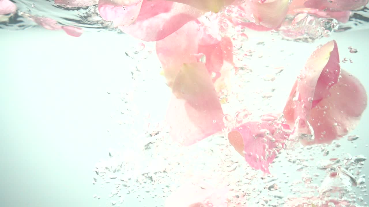 Petali di rose cadono nell'acqua. Sfondo. Movimento rallentato.
